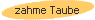 zahme Taube